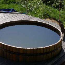 Фото Отель Саянский домик