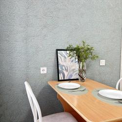 1-комнатные апартаменты стандарт Алексеева 27