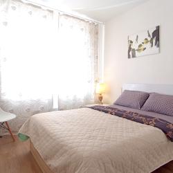 1-комнатные апартаменты стандарт №2