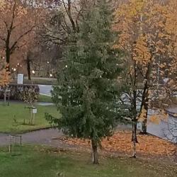 Фото Апартаменты на улице Волкова