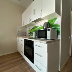 Фото Отель Li Apartments на улице Овражная 47 А