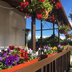 Фото Отель Куршале