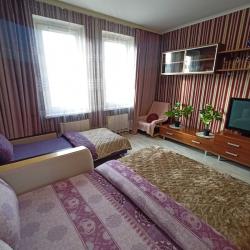 Фото Апартаменты на проспекте Защитников , 7 к2