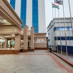 Фото Отель Oydin Plaza Hotel (Ойдин Плаза)