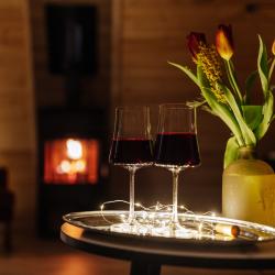 Фото Парк-отель Тэнгис