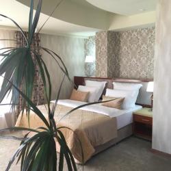 Фото Отель Royal Hotel Riz (Роял Риц)