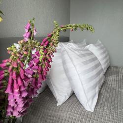 Фото Апартаменты на улице Краснофлотская 4а