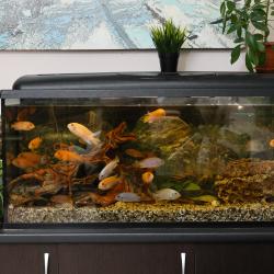 Фото Отель Вингс