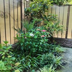 Фото Апартаменты Mamai-mansan