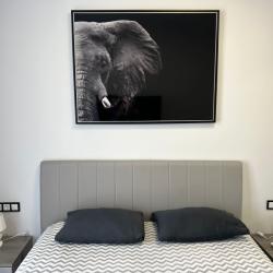 Фото Отель Имеретинские Курорты