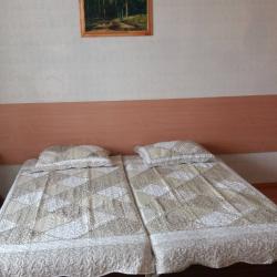 1-комнатные апартаменты стандарт пр.Ленина,135/1