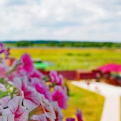 Фото Отель Купеческая