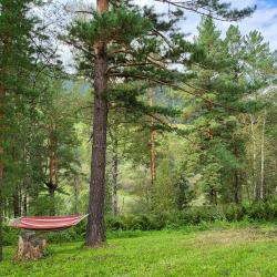 Фото Отель Вдохни Алтай