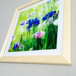 Фото Отель Лесная