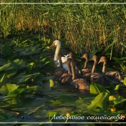 Фото Отель Тортуга