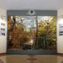 фото 11 Валдайский парк