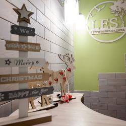 Фото Отель LES (ЛЕС)