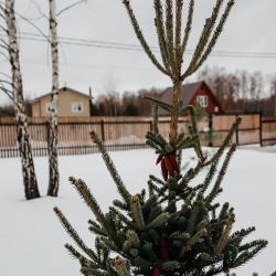 Коттедж стандарт
