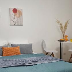 1-комнатные апартаменты студия Мезенцева 14