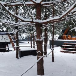 Фото Отель Кусочек рая в соснах