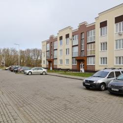 Фото Отель BalticRealty на улице В. Гризодубовой 1/2