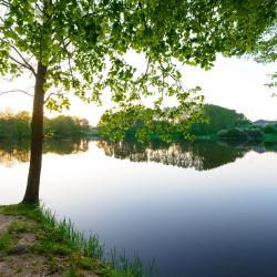 Фото Парк-отель Филипп