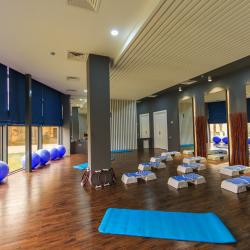 Фото Отель Wellness Hotel and Spa (Велнесс)