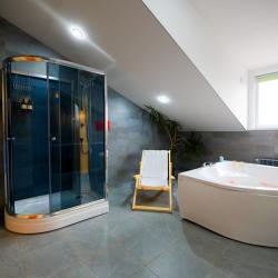 Номер полулюкс (мансарда)