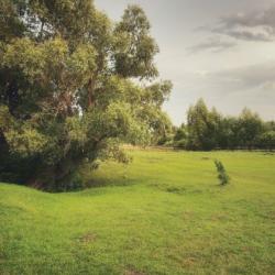 Фото Отель Лес и Луга