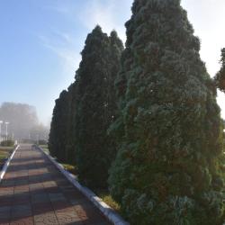 Фото Отель Санаторий Вишневая Поляна