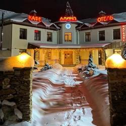Фото Отель Алино