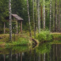 Фото Отель Драгунский ручей