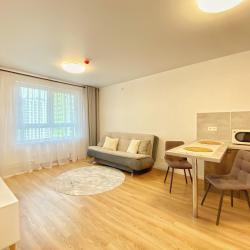 1-комнатные апартаменты стандарт 1к апартаменты Apart-Comfort на Лескова 44