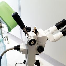 Фото Отель Вятичи Eco Resort & Medical Spa