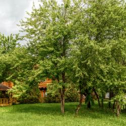 Фото Отель Графская поляна