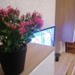 Фото Апартаменты на улице Чехова 2Б