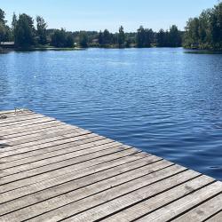 Фото Отель Гостевой комплекс Сосны