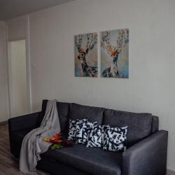 Фото Апартаменты на улице Пролетарская 75