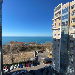 1-комнатные апартаменты стандарт г. Сочи. ул. Крымская 89, кв. 557