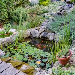 Фото Отель Солнечная Ривьера