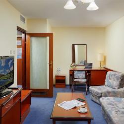 2-комнатный номер люкс с 1 двуспальной кроватью