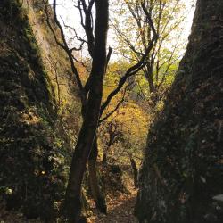 Фото Отель Телец