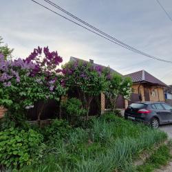 Фото Отель Домик на Островского 3