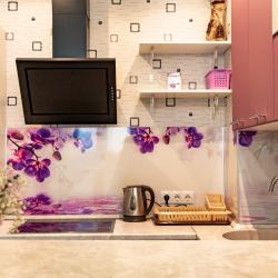 Фото Отель Romlex Apartments (Ромлекс) на улице Чаркова 79 корпус 2