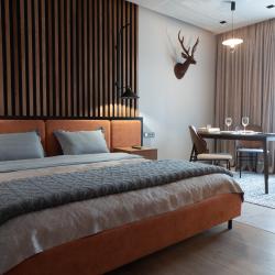 Фото Отель Apart Hotel Colibri (Колибри)