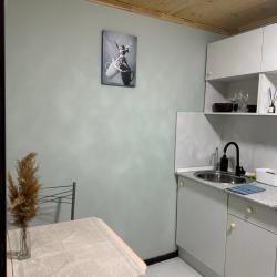 Фото Отель Двухуровневый пентхаус 30.1 м² в коттеджном поселке Лосиный Остров
