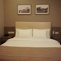 Номер стандарт с 1 двуспальной кроватью (вид на улицу)