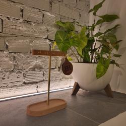 Номер делюкс премиум