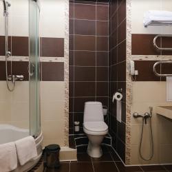 Номер люкс с 1 двуспальной кроватью