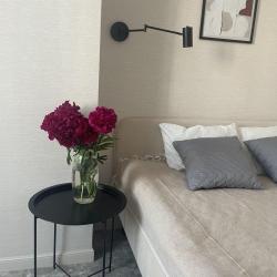 1-комнатные апартаменты студия